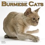 Kalender 2009 Burma-Katze - Burmese Cats