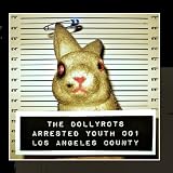 Arrested Youth
