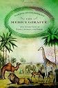 The Medici Giraffe