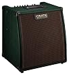 Crate CA6110DG Gunnison Acoustic Guitar Amp, 60 Watts RMS, Automatic Feedback Elimination