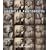 American Photobooth
