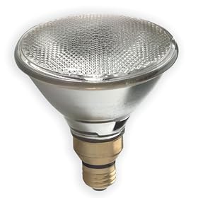 GE 17979 50 Watt Outdoor Halogen Floodlight PAR38 Light Bulb 