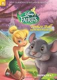 Disney Fairies Graphic Novel #11: Tinker Bell and the Most Precious Gift by Orsi, Tea, Panaro, Carlo (2013) Paperback