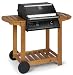 Gas Barbecue Garden Chef Outdoor 2 Burner Patio Hooded BBQ