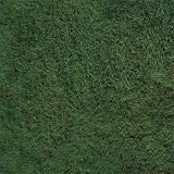 51riwbKECfL. SL160  CanadaGreen Fast Growing Grass Seed