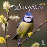 2012 Songbirds Wall calendar