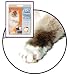 51rj1K633wL. SL75   Spoiling Your Bengal  Cat – They  Will Love You  For It!