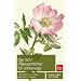 Der BLV Pflanzenf�hrer f�r unterwegs: 1150 Blumen, Gr�ser, B�ume und Str�ucher