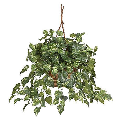Nearly Natural 6517 Pothos Hanging Basket Decorative Silk Plant, Green