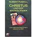 Christus und der Mayakalender. 2012 und das Erscheinen des Antichrist