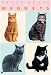 Mixed Cats Gift Set of 4 Magnets