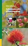 Produkt-Bild: Geheimnisvolle Pflanzengallen: Ein Bestimmungsbuch f&uuml;r Pflanzen- und Insektenfreunde