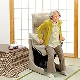 フランスベッド 電動座いす型リフトアップチェア800 フランスベッド 電動座いす型リフトアップチェア800