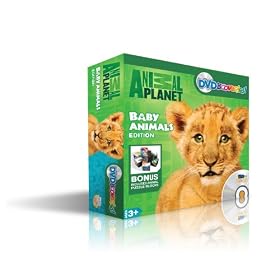 Amazon Toys up to 80% off