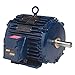 Marathon Electric/Regal Beloit - 324TTTS16535-40 HP Cooling Tower Motor, 3-Phase, 1780 Nameplate RPM, 230/460 Voltage, Frame 324TV