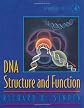 DNA Structure and Function