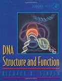 DNA Structure and Function