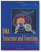 DNA Structure and Function