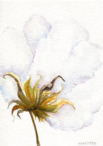 Cotton Watercolor Painting 5 x 7, original watercolor of cotton bolls