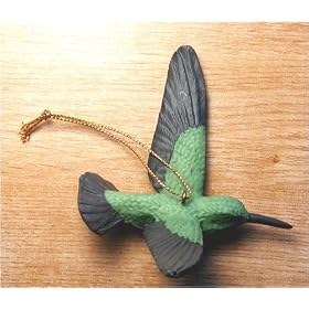 Hummingbird by 