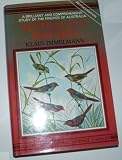 Australian finches in bush and aviary