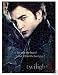 Twilight Puzzle Edward Broken Glass