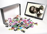 Photo Jigsaw Puzzle of Pbla2A-00011 from North Wind Picture Archives