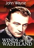 Winds Of The Wasteland