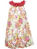 Rare Editions Girls 2-6x Floral Bubble Dress