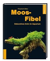 Moos-Fibel: Dekoratives Gr&uuml;n im Aquarium