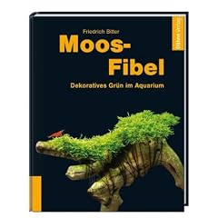 Moos-Fibel: Dekoratives Gr�n im Aquarium