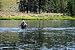 Wading in Yellowstone River - 72W x 48H - Peel and Stick Wall Decal by Wallmonkeys