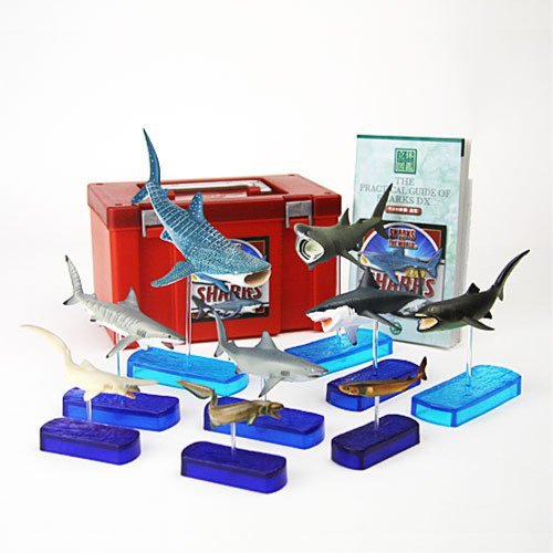 Colorata Stag Beetles Real Figure Book-image