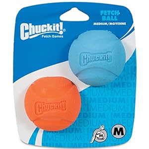 Chuckit! Medium Fetch Ball 2.5-Inch, 2-Pack (Colors Vary)