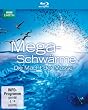 Megaschw�rme - Die Macht der Masse [Blu-ray]