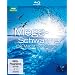 Megaschw�rme - Die Macht der Masse [Blu-ray]