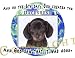 dachshund17 - Dachshund Mouse Pad Dog Mousepad Creation