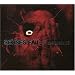 Still Searching (W/Dvd) (Dlx)