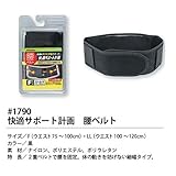 福徳産業 #1790 快適サポート計画 腰ベルト F