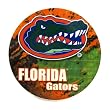University of Florida Coaster for Your Car, Single