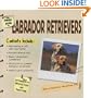 The Simple Guide to Labrador Retrievers