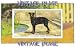 2.75 inch x 2 inch (7.5 x 5cm) Acrylic Fridge Magnet Dogs Manchester Terrier Vintage Image