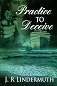 Practice To Deceive [A Daniel 'Sticks' Hetrick Mystery]