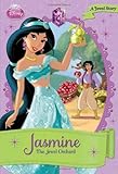 Disney Princess Jasmine: The Jewel Orchard (Disney Princess Chapter Book: Series #1)