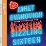 Sizzling Sixteen: A Stephanie Plum Novel