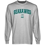 NCAA UNC Wilmington Seahawks Ash Logo Arch Long Sleeve T-shirt