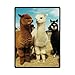 Fashion intimate llama Long neck Soft Fleece Blankets and throws 58 X 80 inch (Large) Christmas gift