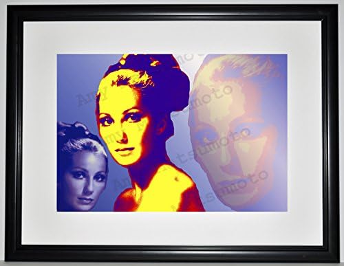 Cher 19x25 Custom Framed Limited Edition Print by Amy Matsumoto