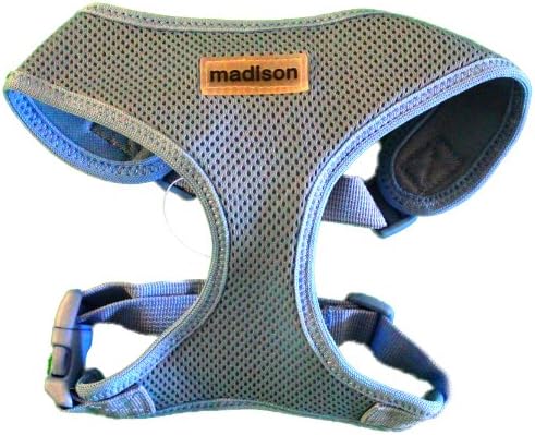 Double Adjustable Dog Harness-Blue