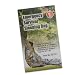 Emergency Survival Sleeping Bag